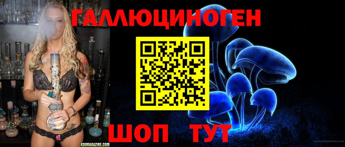 Псилоцибиновые грибы GOLDEN TEACHER Грязи